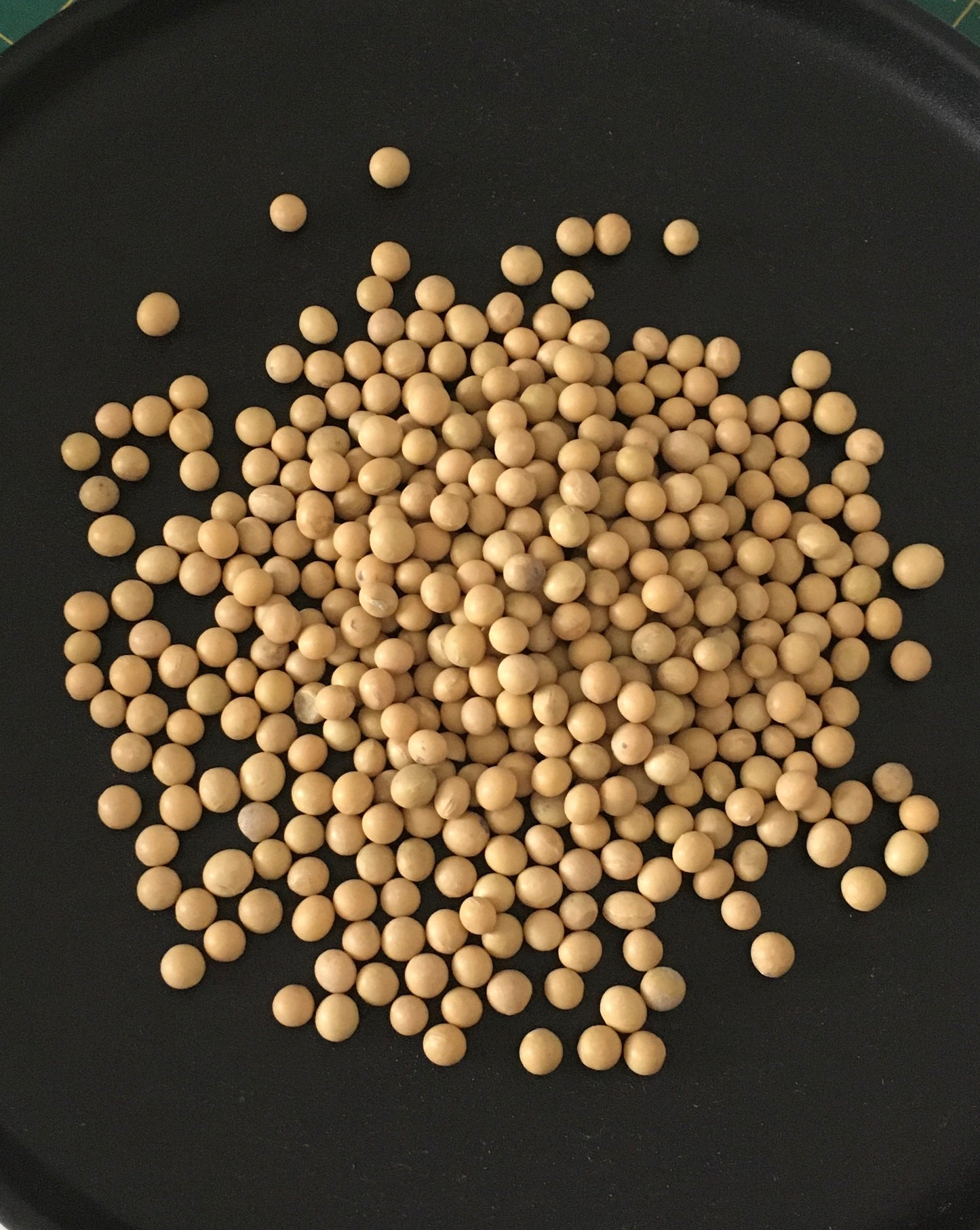 Soy beans for tofu making (500g)